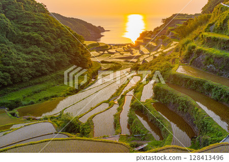 (Saga Prefecture) Hamanoura rice terraces, evening view 128413496