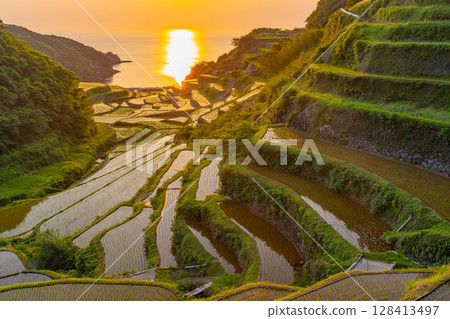 (Saga Prefecture) Hamanoura rice terraces, evening view 128413497