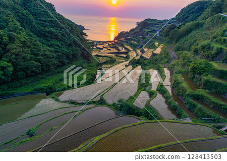 (Saga Prefecture) Hamanoura rice terraces, evening view (Saga Prefecture) Hamanoura rice terraces, evening view 128413503