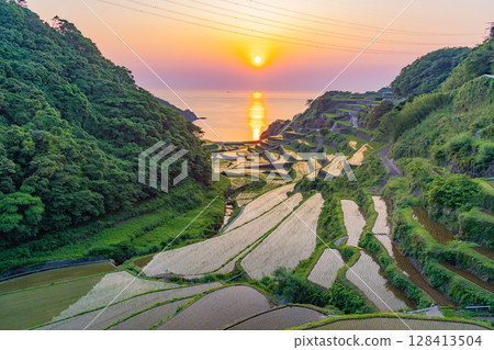 （佐賀縣）浜野浦梯田的夜景 128413504