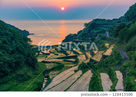 （佐賀縣）浜野浦梯田的夜景 128413506