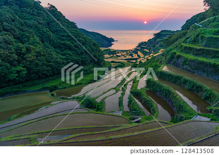 (Saga Prefecture) Hamanoura rice terraces, evening view 128413508