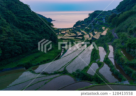 (佐賀縣)夕陽下的浜之浦梯田 (佐賀縣)夕陽下的浜之浦梯田 128413558