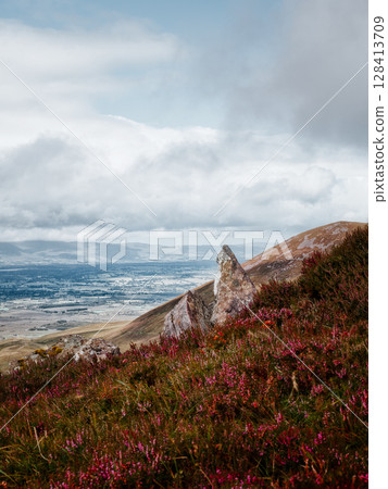 Overlooking a rugged valley in Ireland, the mountains of the Coomloughra Horseshoe stretch to the horizon. Heather flowers bloom on the steep, rocky slopes. 128413709