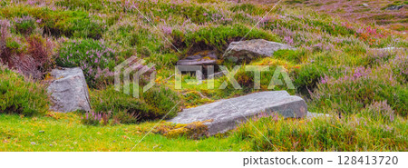 Scenic irish landscape featuring heather, grass, and rocks along the Coomloughra Horseshoe hiking trail. Scenic irish landscape featuring heather, grass, and rocks along the Coomloughra Horseshoe hiking trail. 128413720