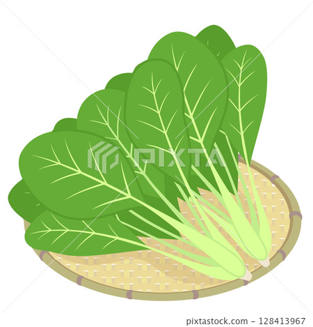 Komatsuna Komatsuna 128413967