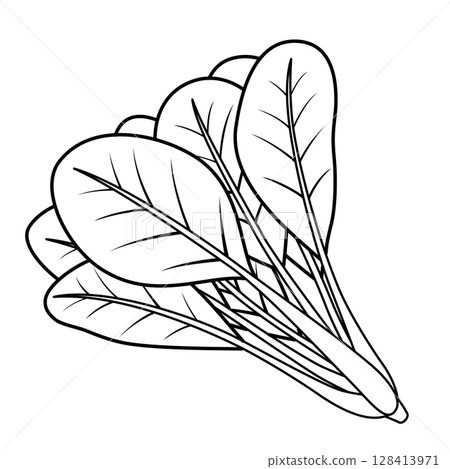 小松綱圖標 128413971