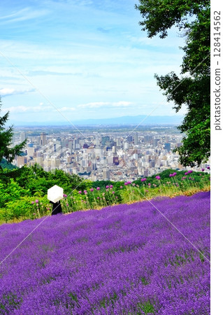 幌見嶺薰衣草園風景(北海道札幌市中央區) 幌見嶺薰衣草園風景(北海道札幌市中央區) 128414562