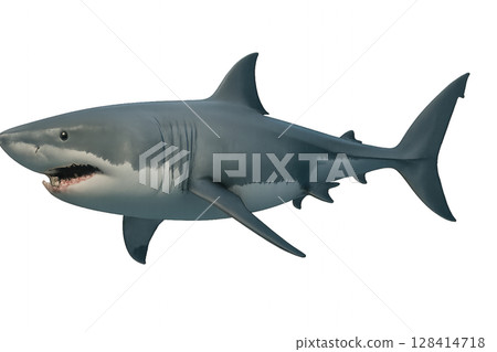Shark Gliding Through Ocean Waters During a Bright Sunny Day 128414718