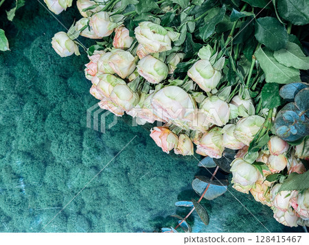 Rose Flowers on Green Background as Background 128415467