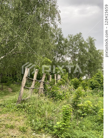 Forest path through lush greenery and wooden fence posts, suitable as a natural background 128415659