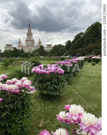 Pink peonies and tall building in a green park under a cloudy sky, ideal for background Pink peonies and tall building in a green park under a cloudy sky, ideal for background 128415668