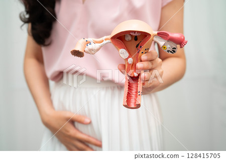 Uterus, Asian woman holding human anatomy model. Uterus, Asian woman holding human anatomy model. 128415705
