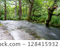 A mountain stream surrounded by fresh greenery 128415932