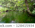 A clear stream flowing through a green forest 128415934