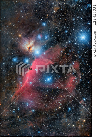 Horse head nebula 128417031