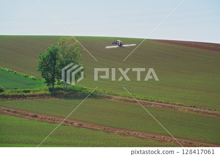 北海道的夏天,劍淵町,山上的麥田與電線 北海道的夏天,劍淵町,山上的麥田與電線 128417061