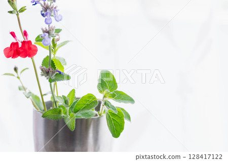 Herbs in the room Herbs in the room 128417122