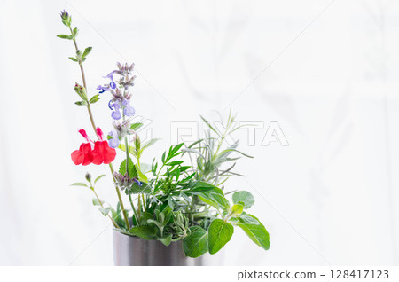 房間裡的草藥 房間裡的草藥 128417123