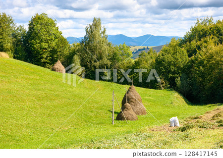 countryside landscape in carpathian mountains in summer. scenic view with trees and field in the valley of borzhava ridge. rural scenery with haystack on grassy hill under blue sky with clouds countryside landscape in carpathian mountains in summer. scenic view with trees and field in the valley of borzhava ridge. rural scenery with haystack on grassy hill under blue sky with clouds 128417145