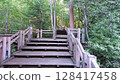 一條帶樓梯和扶手的木製步道，用於徒步深入茂密的森林 128417458