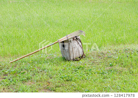 A rake and bamboo basket for collecting grass clippings A rake and bamboo basket for collecting grass clippings 128417978