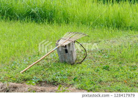 A rake and bamboo basket for collecting grass clippings 128417979