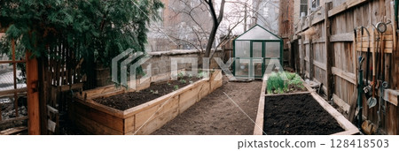 Narrow city backyard garden with wooden beds, rich soil, and a greenhouse for spring food growing 128418503