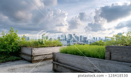 Rooftop garden showcases compost bins and thriving microgreens with a distant city skyline and overcast sky 128418530