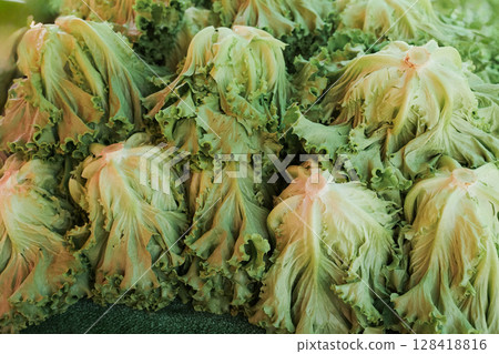 Freshly harvested lettuce displayed at a local farmer's market during the afternoon Freshly harvested lettuce displayed at a local farmer's market during the afternoon 128418816
