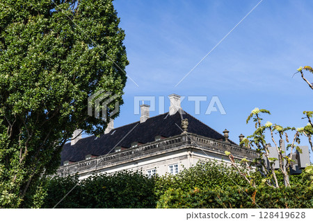 Beautiful new black tile roof of a rich mansion 128419628