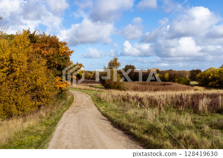 Beautiful autumn landscape with yellow leaves of trees and blue sky on a sunny day Beautiful autumn landscape with yellow leaves of trees and blue sky on a sunny day 128419630
