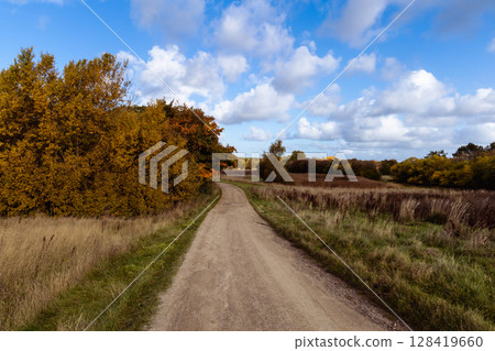 Beautiful autumn landscape with yellow leaves of trees and blue sky on a sunny day 128419660