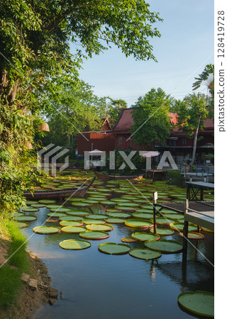 A tranquil waterway with large lily pads, a wooden boat, and a dock, surrounded by greenery and traditional Thai style red roofed buildings. 128419728