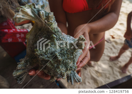 A person in a red bikini holds a greenish, weathered seashell on a sandy beach. Another person in shorts is partially visible in the background. A person in a red bikini holds a greenish, weathered seashell on a sandy beach. Another person in shorts is partially visible in the background. 128419756