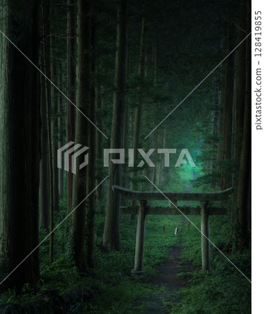 晨霧繚繞的荒戶神社：新見市神秘森林的入口，青苔覆蓋的鳥居與深綠色的樹木交織成的神秘世界，一片靜謐之地 128419855