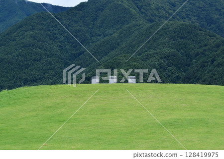 Stone chair and grassland in Yagizaki Park 128419975