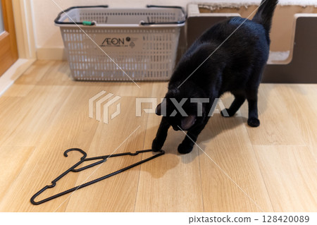 Black cat  128420089