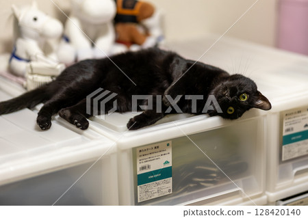 Black cat Black cat 128420140