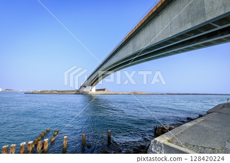 [Eight Views of Totomi] Kosai City, Hamana Kureyuki (Imakiriguchi and Hamana Bridge) 128420224