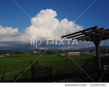 Nostalgic landscape 128420301