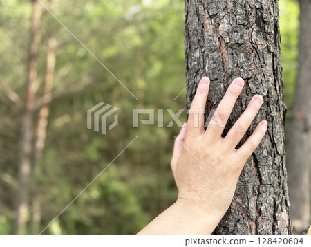 Close up of human hand touching tree bark in green summer forest. Connection with nature, environment and mindfulness 128420604