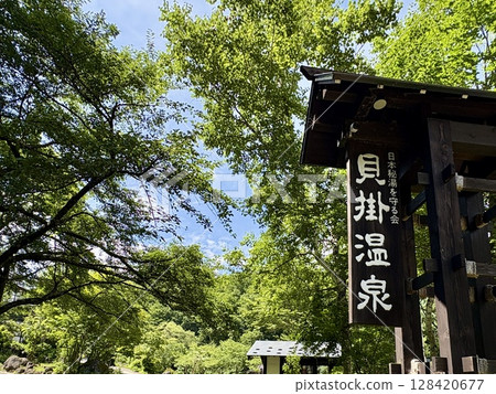 貝掛溫泉_新潟縣奧湯澤市的貝掛溫泉，周圍綠意盎然 128420677