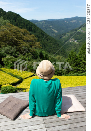 山間的茶田金黃 山間的茶田金黃 128420877