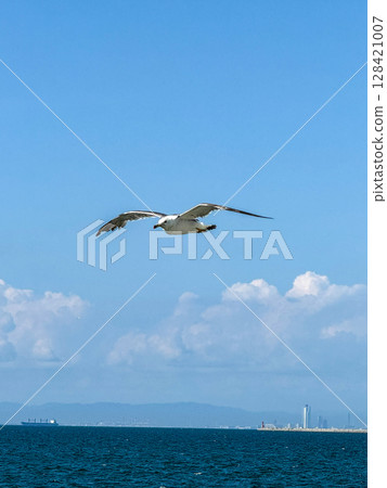 Seascape with seagulls flapping their wings in the blue sky 128421007