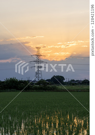 Rural landscape with orange sunset sky and electricity pylon 128421196
