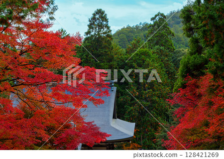 被紅葉包圍的神護寺 128421269