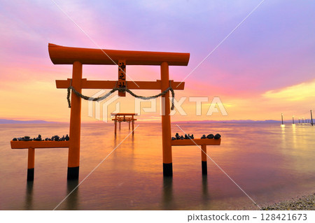 [Saga Prefecture] The underwater torii gates of Ooguo Shrine at sunrise 128421673