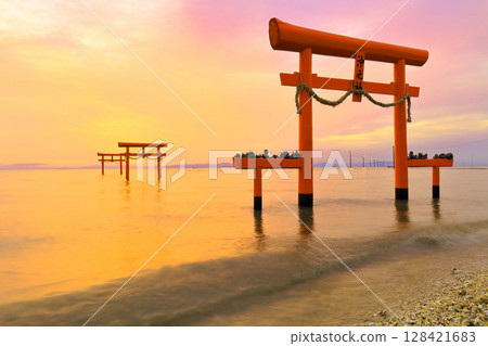 [Saga Prefecture] The underwater torii gates of Ooguo Shrine at sunrise 128421683