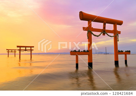 [Saga Prefecture] The underwater torii gates of Ooguo Shrine at sunrise 128421684